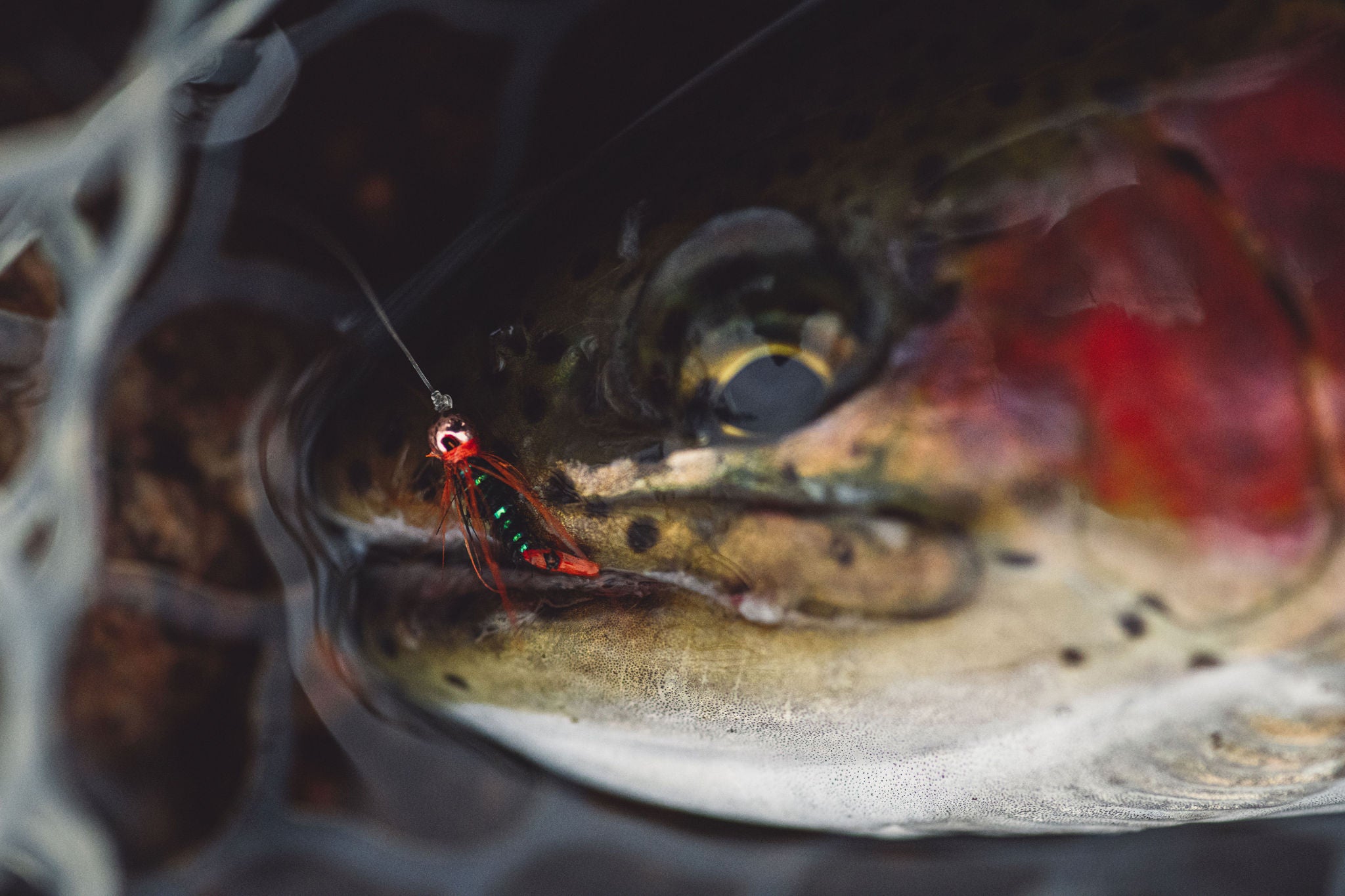 Extremely Strong, Small, and Easy Fishing Knot (called the Orvis Knot) 