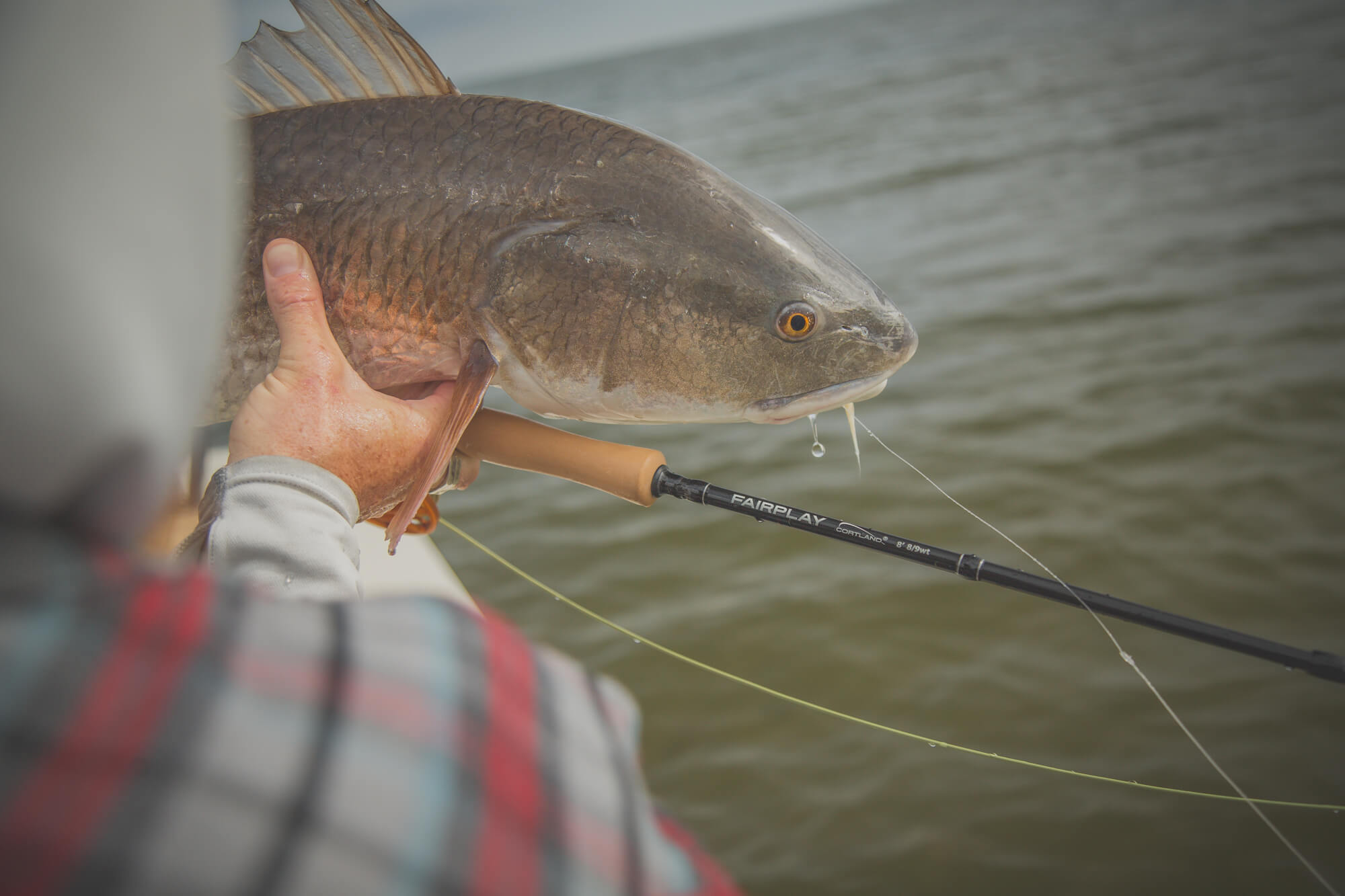 Linea Cortland Fairplay Wf6s Pesca Outdoor 27mts | Cuotas sin interés