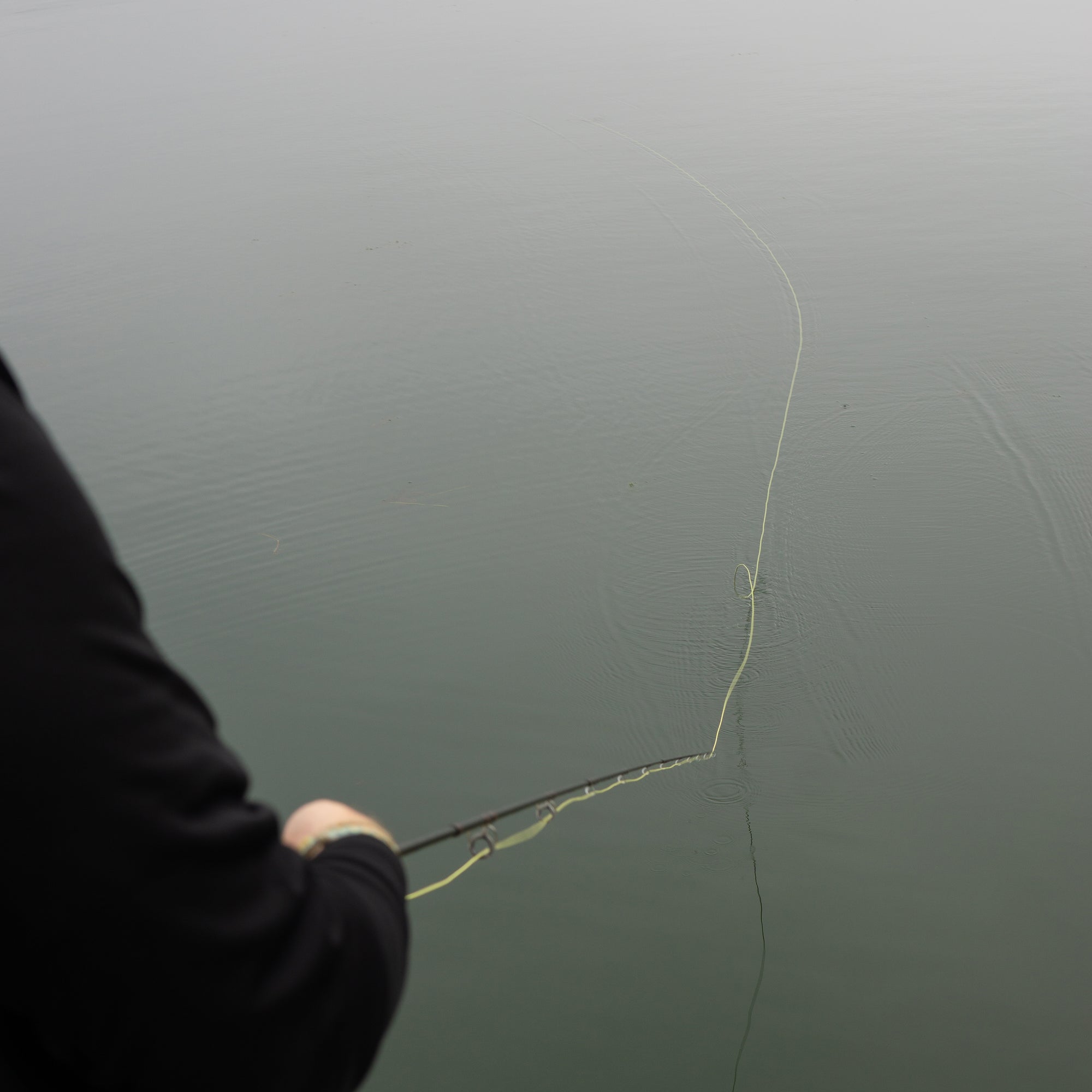 A fly line sitting on a body of water with the angler's shoulder in the bottom left of the frame.