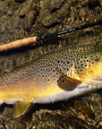 Competition MKII Series Fly Rod - Euro Style Nymphing