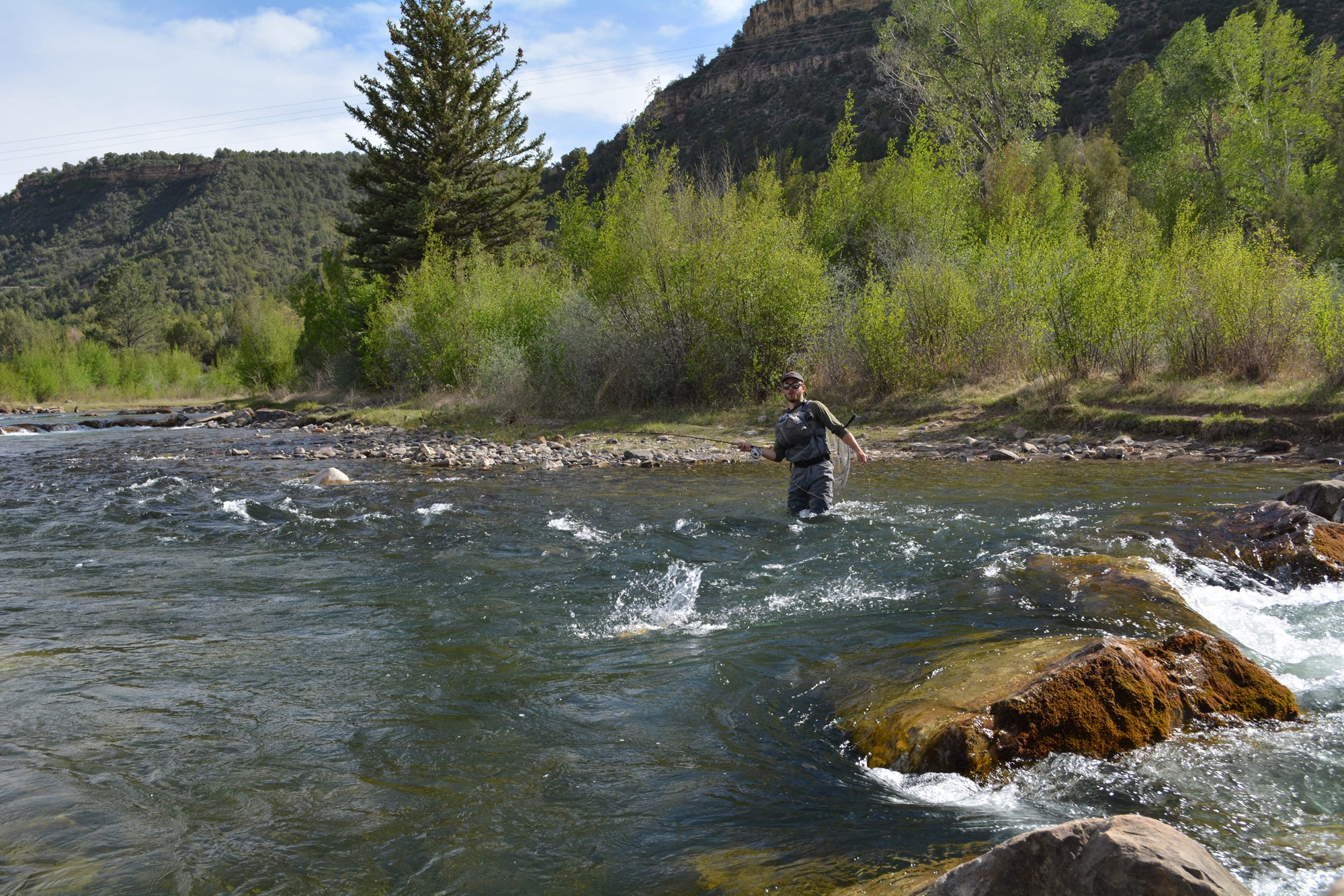 Fly Fishing Colorado