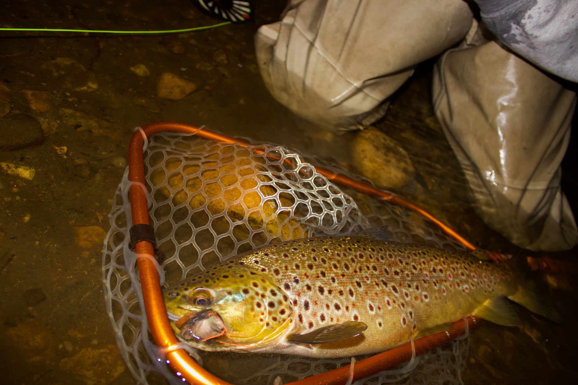 Night Fishing Tactics for Brown Trout – Cortland Line Company