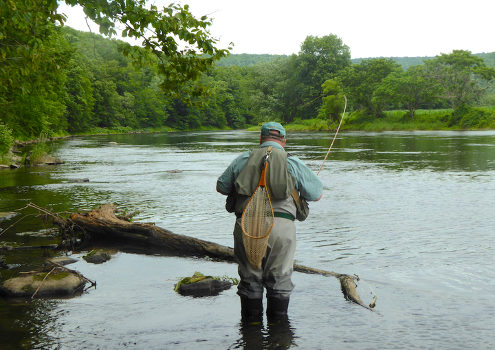 A man fly fishing in knee deep water