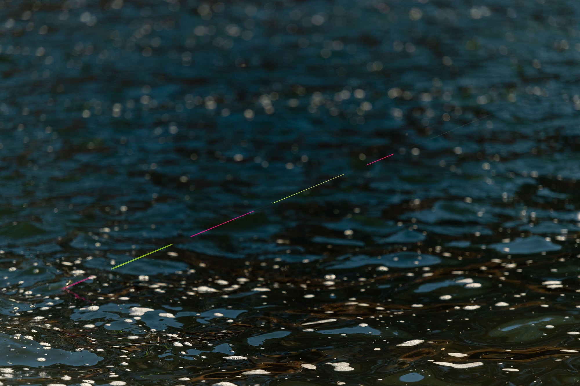 Slideshow Image 3