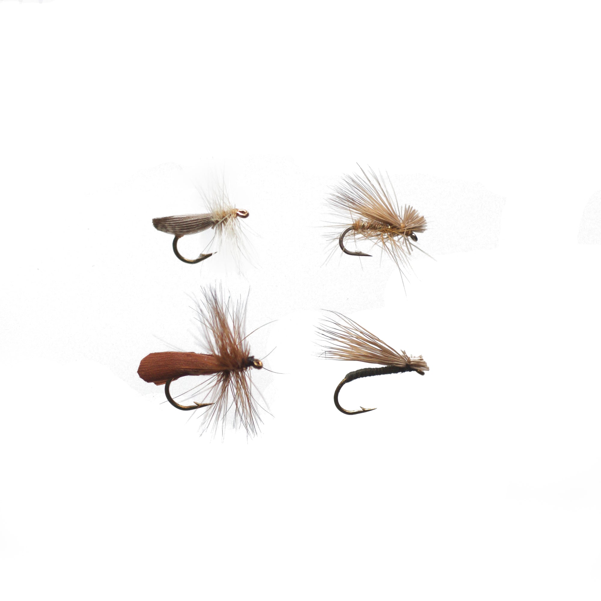 Caddis Dry Assortment