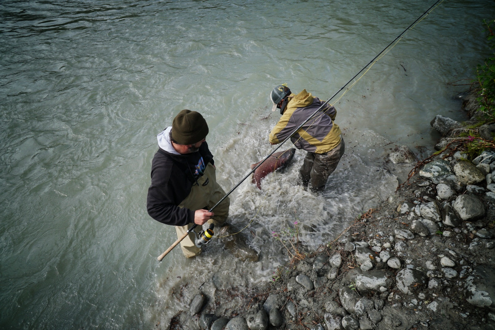 Two individuals are standing in a river. One is watching while the other is pulling in their fish.