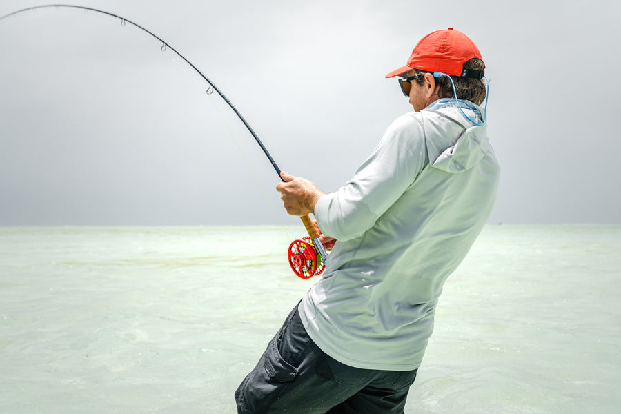 GT / Tuna