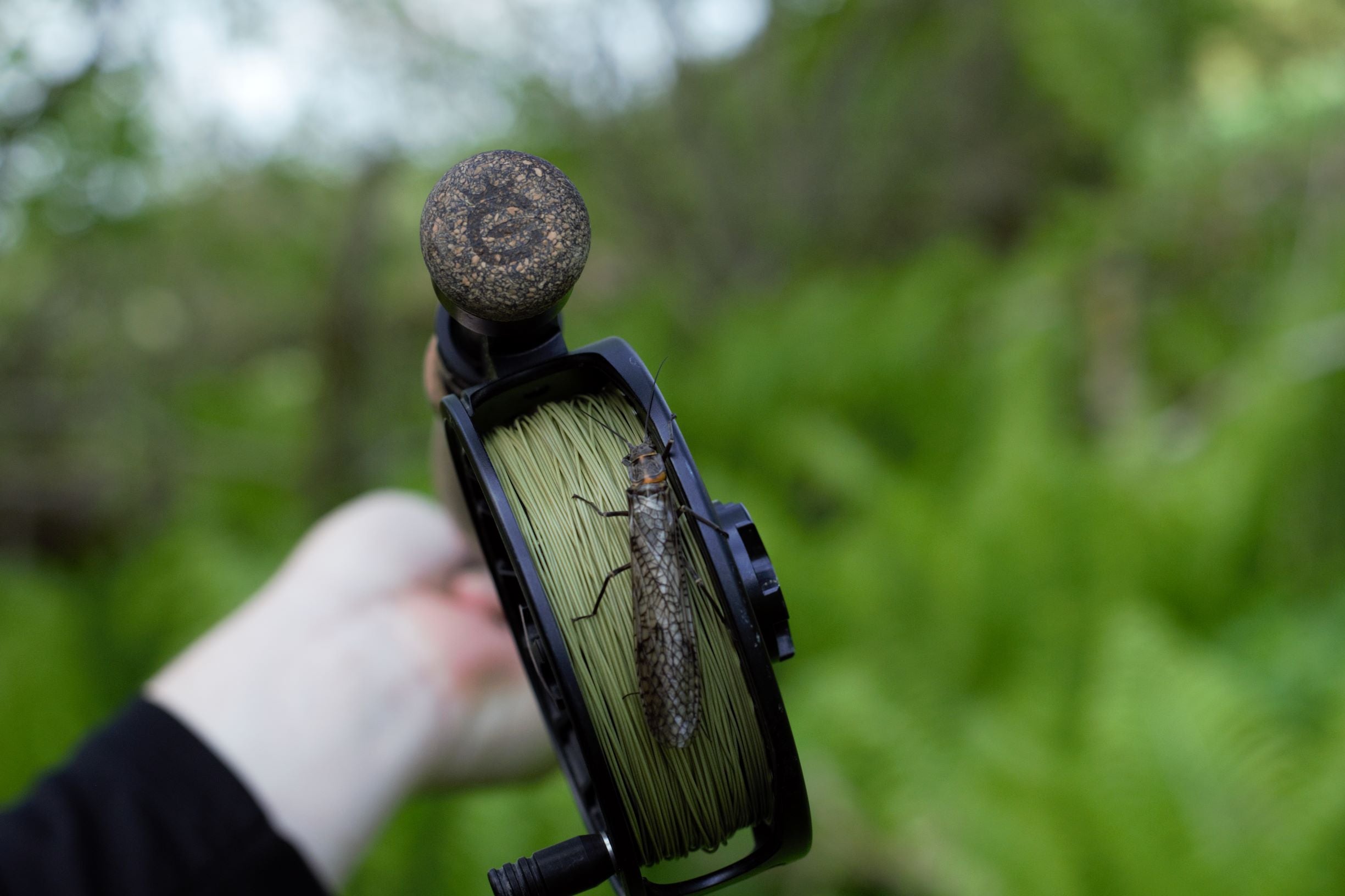 Euro Nymph Braid Core Fly Line | Superior Strike Detection