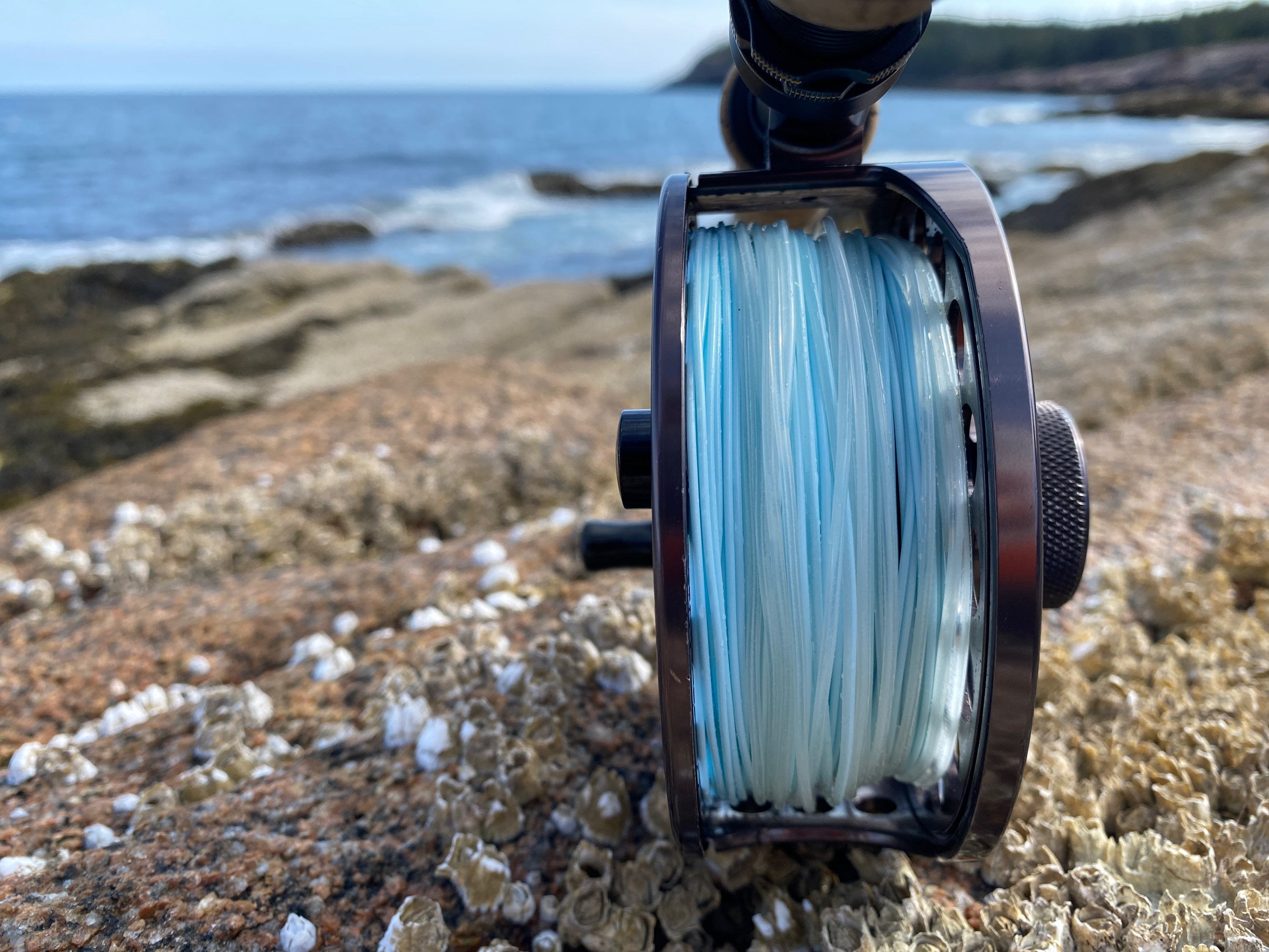 コートランド フライライン コンパクトインターミディエイト6/7 コートランド コンパクト・インターミディエイト フライライン