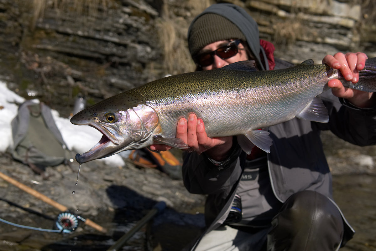Cortland 444 Series freshwater fly line