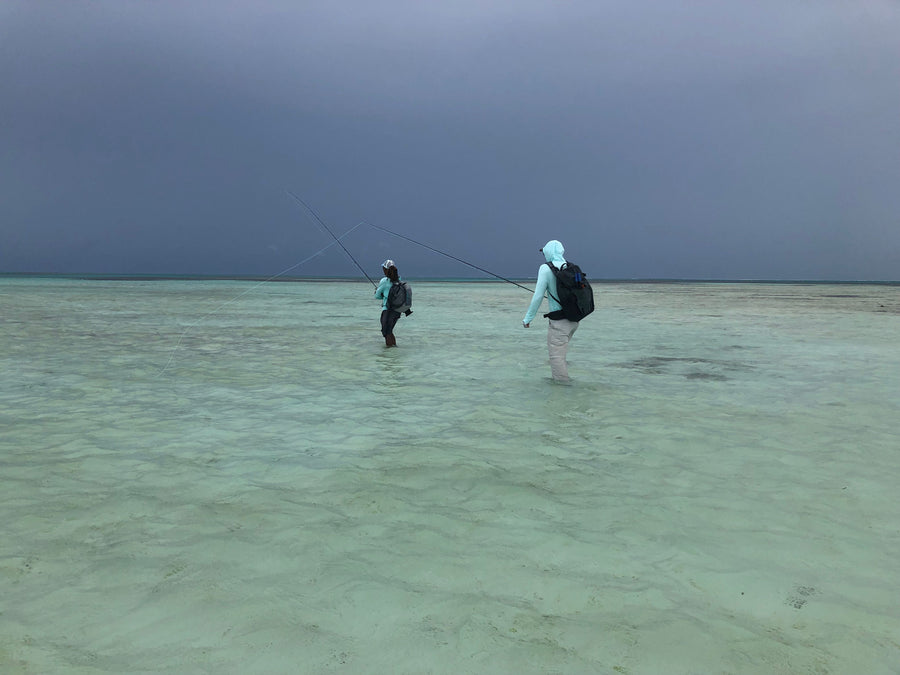GT / Tuna