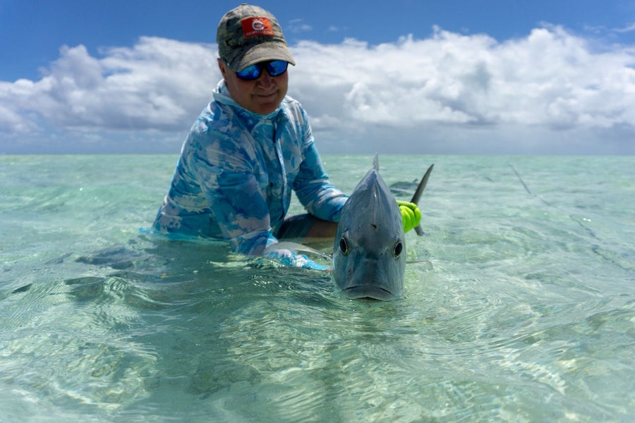 GT / Tuna