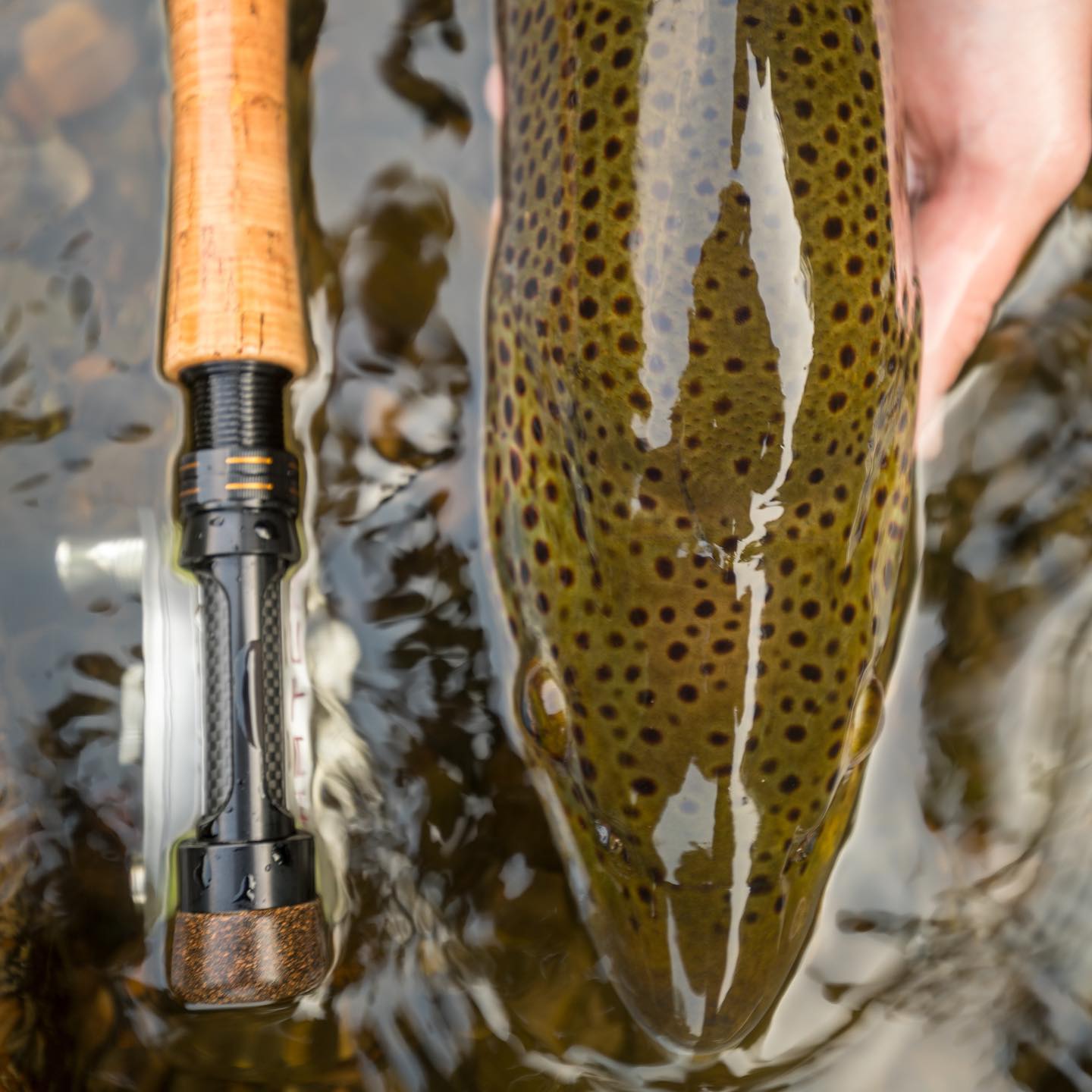 Competition MKII Series Fly Rod - Euro Style Nymphing