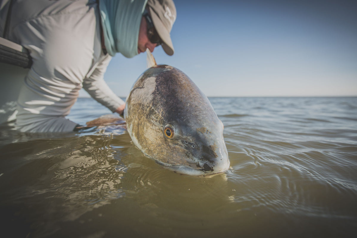 Cold Salt Redfish | Cortland Line – Cortland Line Company